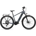 Trekingové elektrokolo KELLYS E-Carson 90 P 28" 8.0 L (20", 178-190 cm)