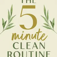 The 5 Minute Clean Routine - Louisa Anna