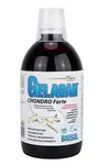 Gelacan Chondro Forte Biosol 500ml
