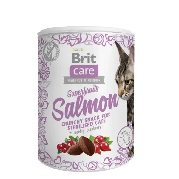 Brit Care Cat Snack Superfruits Salmon 100 g