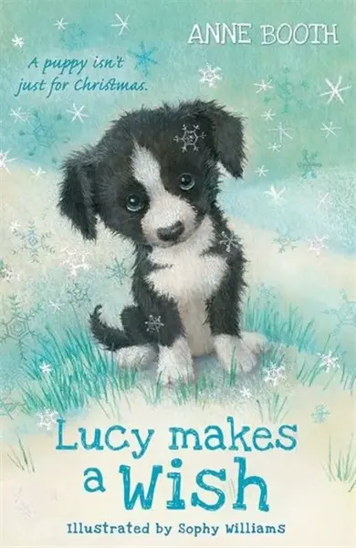 Lucy Makes a Wish - Anne Booth