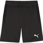 Puma TEAMGOAL TRAINING SHORT Pánske tréningové trenírky, čierna, veľkosť
