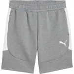 Puma TEAMEVOSTRIPE SHORTS Pánske šortky, sivá, veľkosť