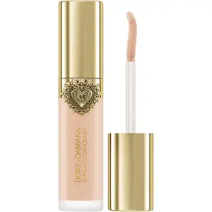 Dolce&Gabbana Everlast Concealer dlouhotrvající korektor odstín 01 Light - Neutral Undertones 11 ml