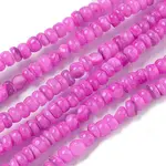 Dyed Natural Freshwater Shell Beads Strands