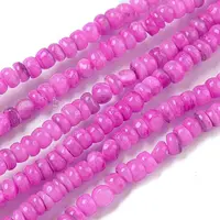 Dyed Natural Freshwater Shell Beads Strands