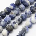 Natural Sodalite Beads Strands