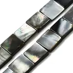 Natural Black Lip Shell Beads Strands