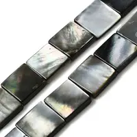 Natural Black Lip Shell Beads Strands