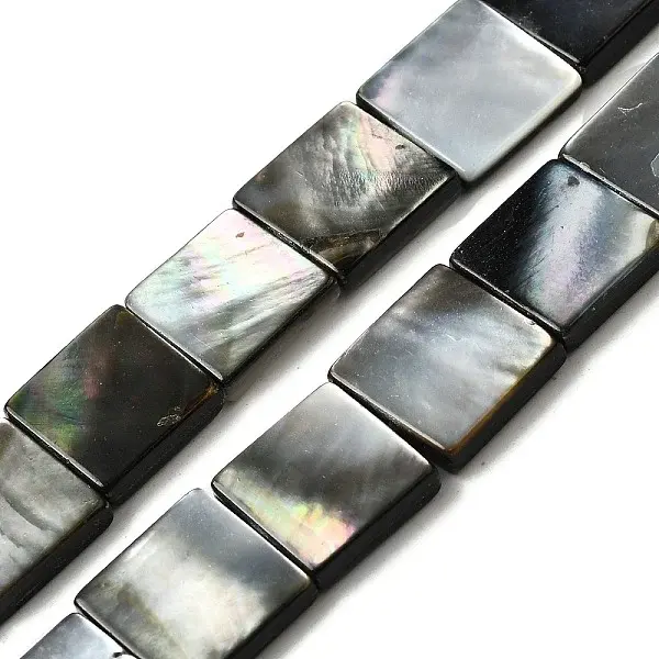 Natural Black Lip Shell Beads Strands