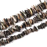 Natural Paua Shell Beads Strands
