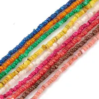 Natural Freshwater Shell Beads Strands