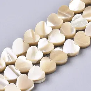 Natural Trochid Shell/Trochus Shell Beads