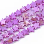 Freshwater Shell Beads Strands