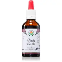 Salvia Paradise Perila křovitá AF tinktúra pre normálnu funkciu dýchacieho systému 50 ml