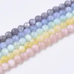 Natural Freshwater Shell Beads Strands