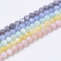 Natural Freshwater Shell Beads Strands