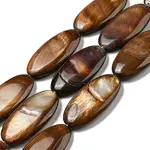 Dyed Natural Freshwater Shell Beads Strands