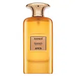 Hamidi Shams Edition Aoud parfémovaná voda unisex 100 ml