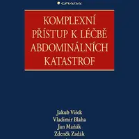 Kniha: Komplexní přístup k léčbě abdominálních katastrof od Víšek Jakub