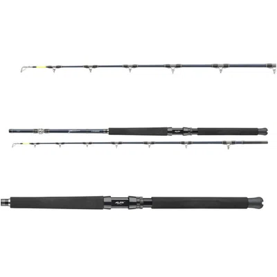 Daiwa prut Tanacom Ultra Deep 2,10m 400-1000g
