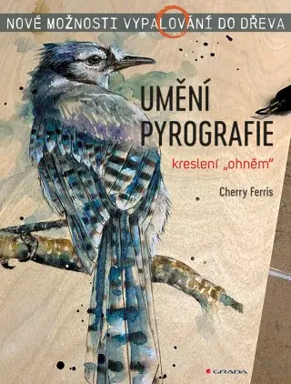 Umění pyrografie - Ferris Cherry - e-kniha
