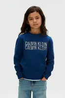 Dětská bavlněná mikina Calvin Klein Jeans modrá barva, s potiskem, IB0IB02527
