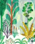 The Forest - Riccardo Bozzi,  Violeta Lopiz (ilustrátor), Valerio Vidali (ilustrátor)