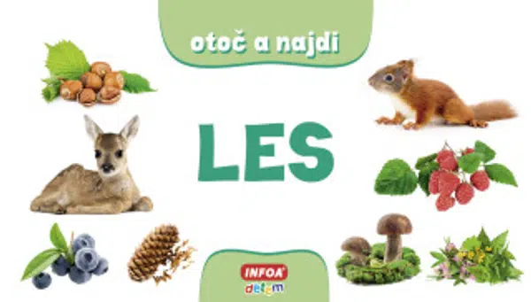 Otoč a najdi - Les