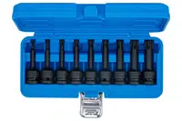 BGS technic Hlavice 1/2" zástrčné RIBE M5-M14 CrMo - BGS 5483