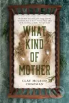 What Kind of Mother - Clay Mcleod Chapman - kniha z kategorie Horory