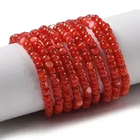 Natural Freshwater Shell Beads Strands