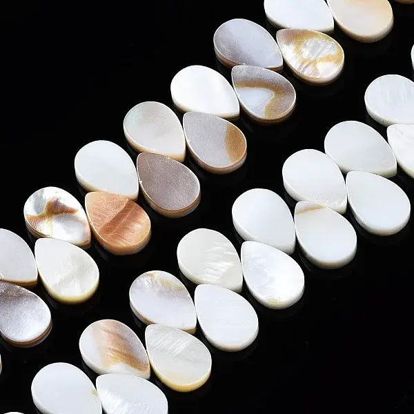 Natural Freshwater Shell Beads Strands