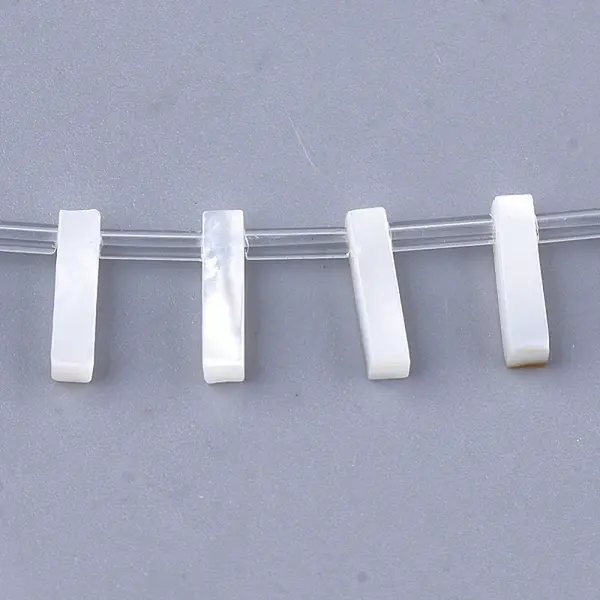 Natural Sea Shell Beads