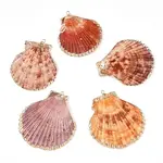 Electroplate Multicolor Sea Shell Pendants