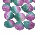Spray Paint Natural Ark Shell Beads