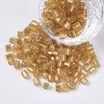 6/0 Two Cut Glass Seed Beads