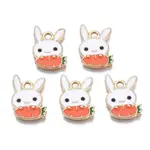 Alloy Enamel Pendants