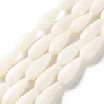 Natural Freshwater Shell Beads Strands