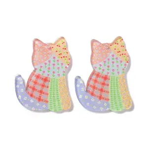 Transparent Acrylic Pendant