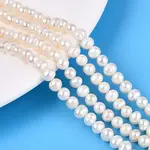 Natural Cultured Freshwater Pearl Beads Strands