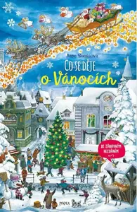 Co se děje o Vánocích (poškozená) - Anne Suessová