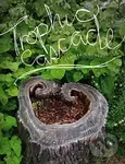 Trophic Cascade - Camille T Dungy