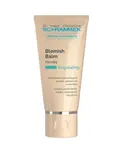Dr. Schrammek Regulating Blemish Balm Honey BB krém 40 ml