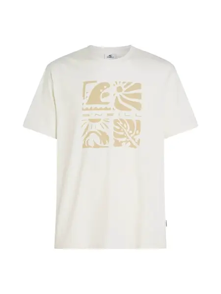 O'NEILL Tričko 'Melange Front Print'  biela