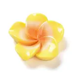 Opaque Resin Cabochons