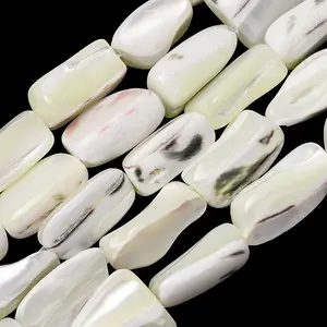Natural Trochid Shell/Trochus Shell Beads Strands