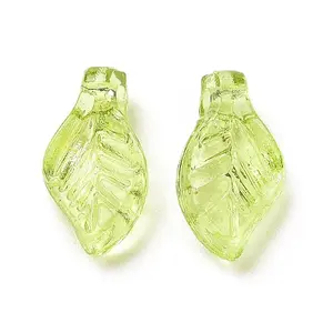 Transparent Acrylic Charms