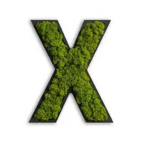 XXXL MECHOVÝ OBRAZ