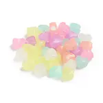 Luminous Acrylic Beads